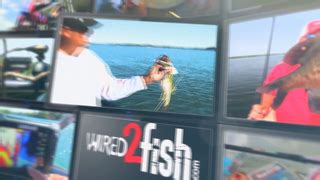 Buzzbait Fishing 101 With Denny Brauer